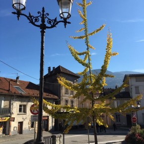 centre d'albertville