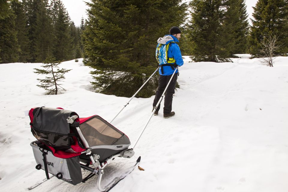 Poussette Cougar de chez Thule / kit Ski