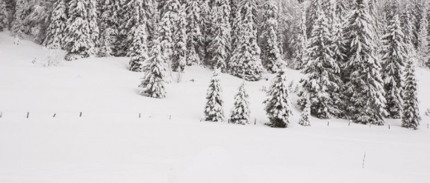 séjour jura en famille