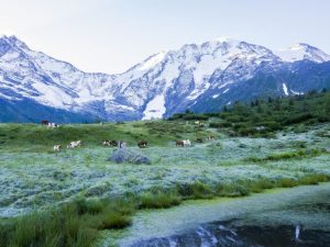 Alpes_Saint-gervais_Mont-blanc_1_291