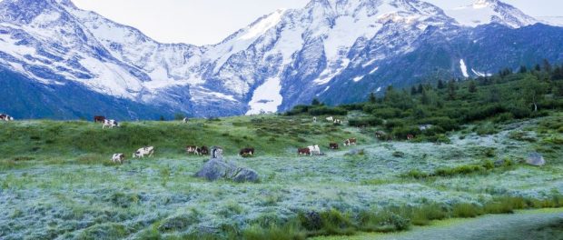 Alpes_Saint-gervais_Mont-blanc_1_291