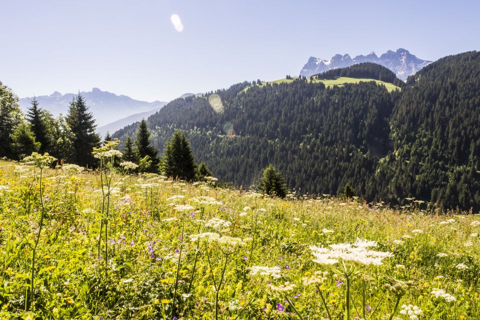 Trail_portesdusoleil_montagne_paysages_141