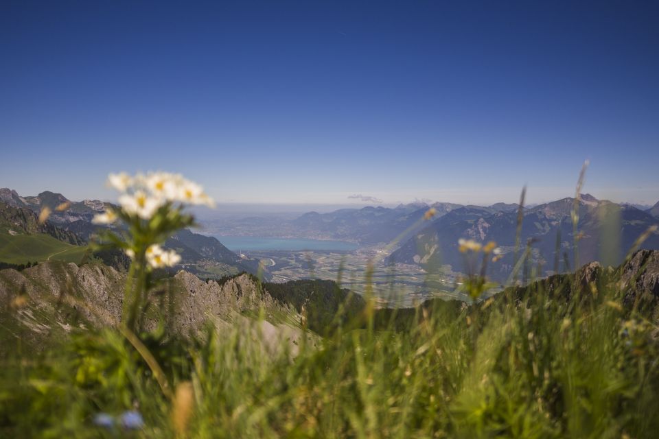 Trail_portesdusoleil_montagne_paysages_63