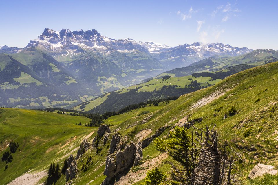 Trail_portesdusoleil_montagne_paysages_72