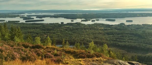 vue depuis gesundaberget sur le lac siljan en suède